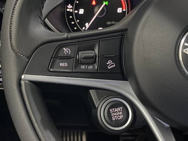 ALFA ROMEO STELVIO 2.2 D 210 CV AUT. Q4 - Imagen 20