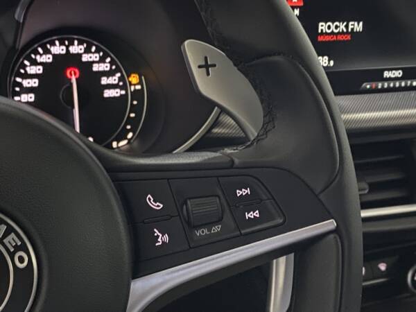 ALFA ROMEO STELVIO 2.2 D 210 CV AUT. Q4 - Imagen 21