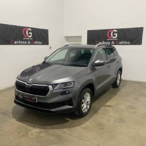 SKODA Karoq 2.0 TDI 116 cv  DSG Ambition