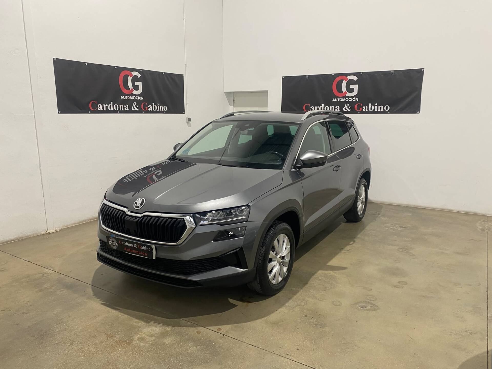 SKODA Karoq 2.0 TDI 116 cv DSG Ambition
